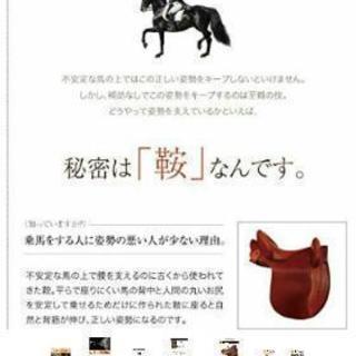腰痛軽減　馬具マットプレミアムの画像