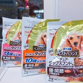 🐶ワンワンDAY🐶 - 厚木市