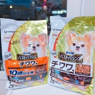 🐶ワンワンDAY🐶 − 神奈川県