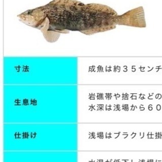 12月3日、函館で釣り仲間募集！！
