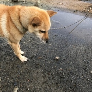 よろしくお願いします