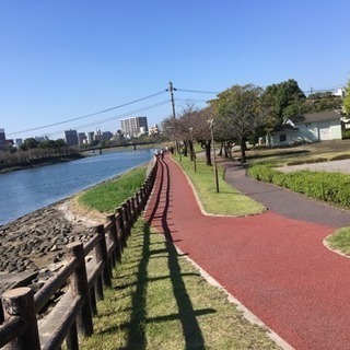 ウォーキングサークル👟