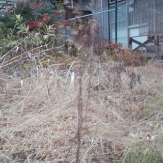 ２０１８年来年度除草作業、限定１０名予約受付致します。