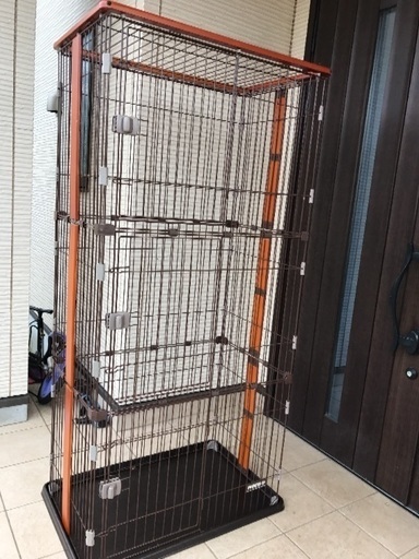 猫 ゲージタワー すぐ取りにこれる方優先