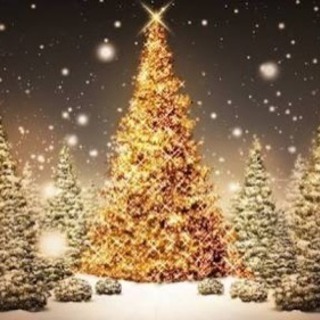 🎉神戸三宮🎄 12月16日 土曜日 24〜42歳の占い恋活&婚活...