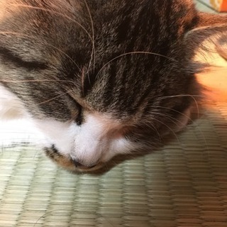 夜釣りメンバー募集