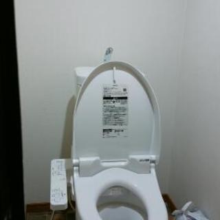 いちごの収穫、パック詰めなどの作業です。の画像