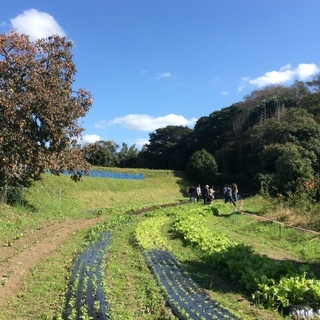 12月16日(土)　種からこだわった安心安全な野菜を食べて学ぶセミナー