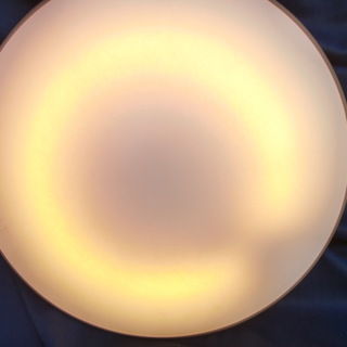 シーリングライト　丸善電気