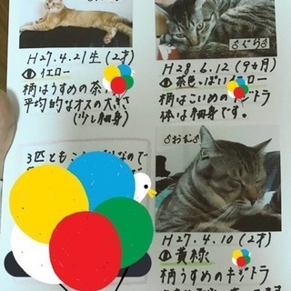全部で４匹います。