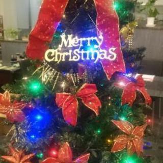 ■蒲郡■  クリスマスコン in 蒲郡の画像