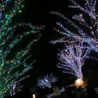 ■蒲郡■  クリスマスコン in 蒲郡 - パーティー