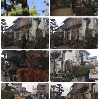 庭の手入れ リフォーム店 所沢市 清瀬市 入間市 飯能市 川越市...