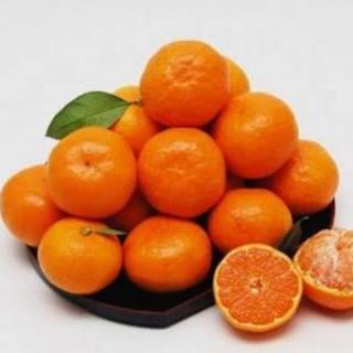 有田ママ募集♪情報交換しましょう！