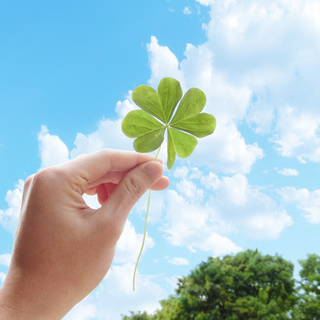 幼児　小学生に教えます ✨英語＆ダンス✨の画像