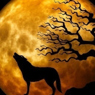 12月10日(日)🐺月夜の人狼オフ会🐺