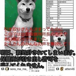 ボランティア仲間募集❤