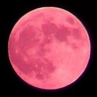 女の子友達募集💕28歳〜35歳くらい🍀