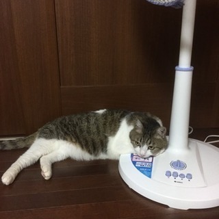 ちょっとひまな方