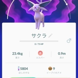 ポケモンGo一緒にしましょう！