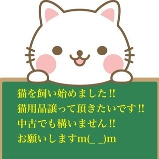 【至急】猫用品譲ってください!!