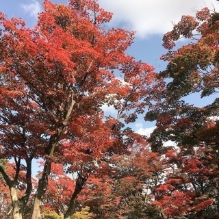 今週末 土曜日 - 友達