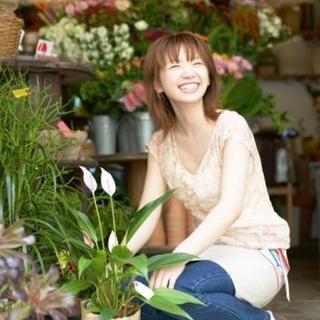 年末のお花の加工スタッフさん募集