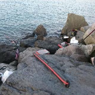 江戸川区 若洲海浜公園人口磯 - メンバー募集