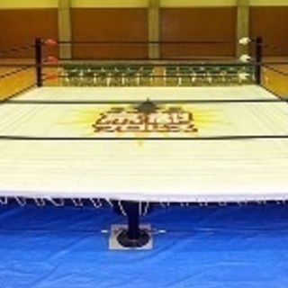 プロレスリング〔レンタル〕