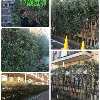 庭の手入れ リフォーム致します。所沢市 狭山市 入間市 川越市 埼玉県