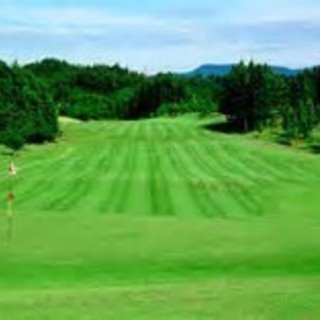 【平日ゴルフ仲間の募集です！】