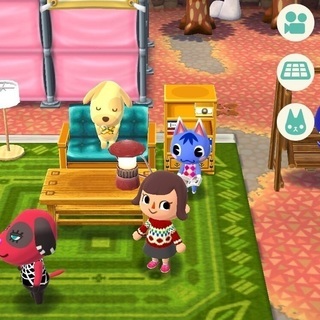 どうぶつの森ポケットキャンプ(ポケ森)フレンド募集！