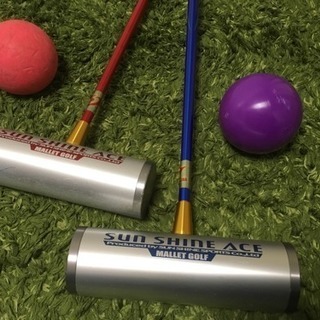 マレットゴルフ スティック 2本セット ボール ケース付きの画像