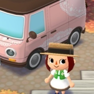 どうぶつの森♡ポケットキャンプ