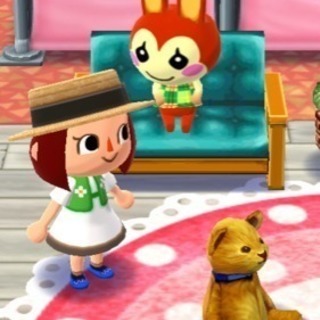 どうぶつの森♡ポケットキャンプ - 笠間市