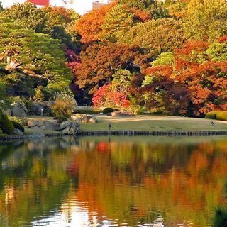 12月3日(12/3)  紅葉で有名な庭園で風情を楽しむ！六義園...