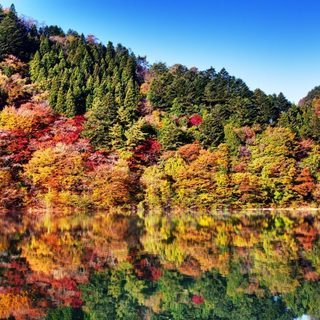 12月3日(12/3)  大人の秋遠足！！絶景を楽しむ！奥多摩紅...