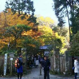 １１月２６日（日）鎌倉御朱印巡り（神社・お寺巡り） - 鎌倉市
