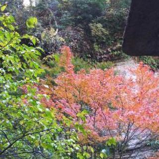 １１月２６日（日）鎌倉御朱印巡り（神社・お寺巡り） − 神奈川県