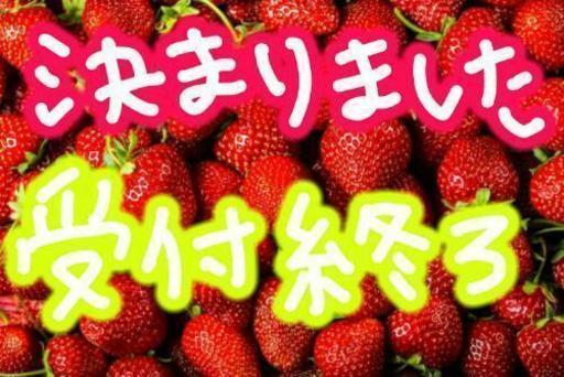 パナソニック冷蔵庫