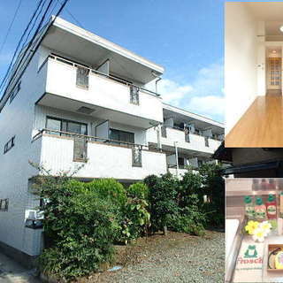 【大家直・敷礼０】東川口　カウンターキッチン付き１Rマンション ...