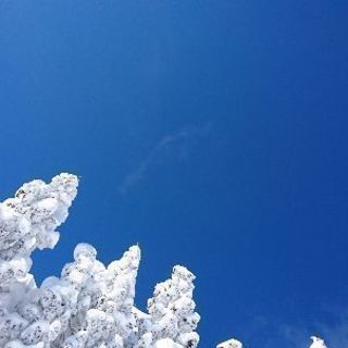 スノボー٩(๑^o^๑)۶