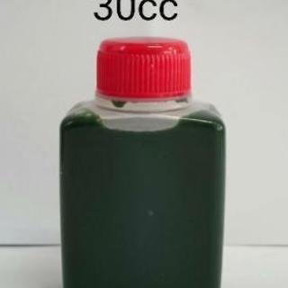 濃い生クロレラ水30cc