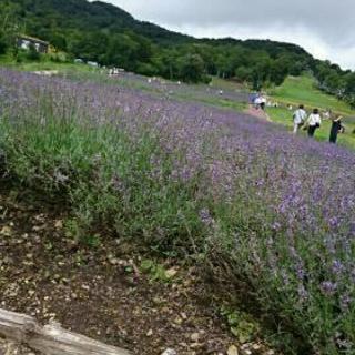 加湿器下さい★