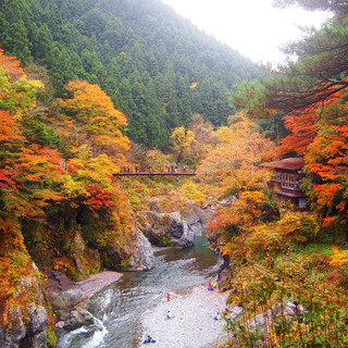 12月10日(12/10)  渓谷のせせらぎを聞きながら紅葉を楽...