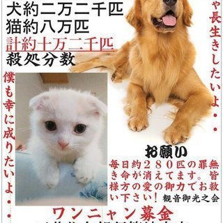 浄土真宗(東西)浄土宗・真言宗僧侶派遣!!宗教法人別院募集!! - 中央区