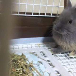 お友達になってあげて...