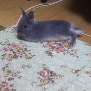 お友達になってあげて... - 足立区
