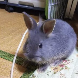 お友達になってあげて... - その他