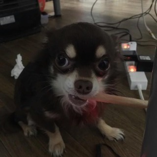 ママ友募集ξ´◌•ω•◌`Ҙ♩